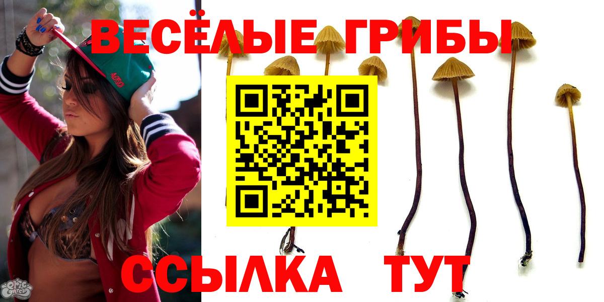 Псилоцибиновые грибы Magic Shrooms  Вход с VPN  Подольск 
